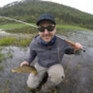 Meet your Posher, Ryan